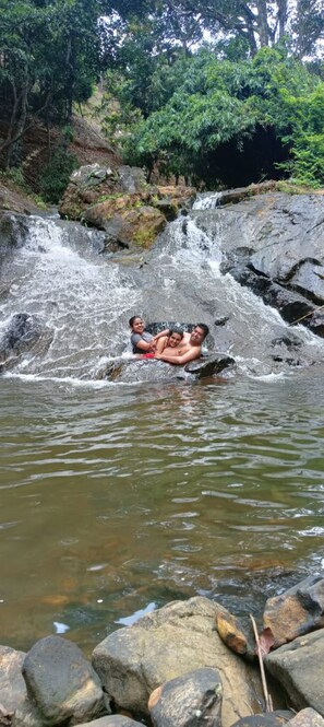 Property grounds - Romantic Huts on a Mountain with a Natural Stream (Mananthavady)