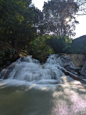 Property grounds - Romantic Huts on a Mountain with a Natural Stream (Mananthavady)