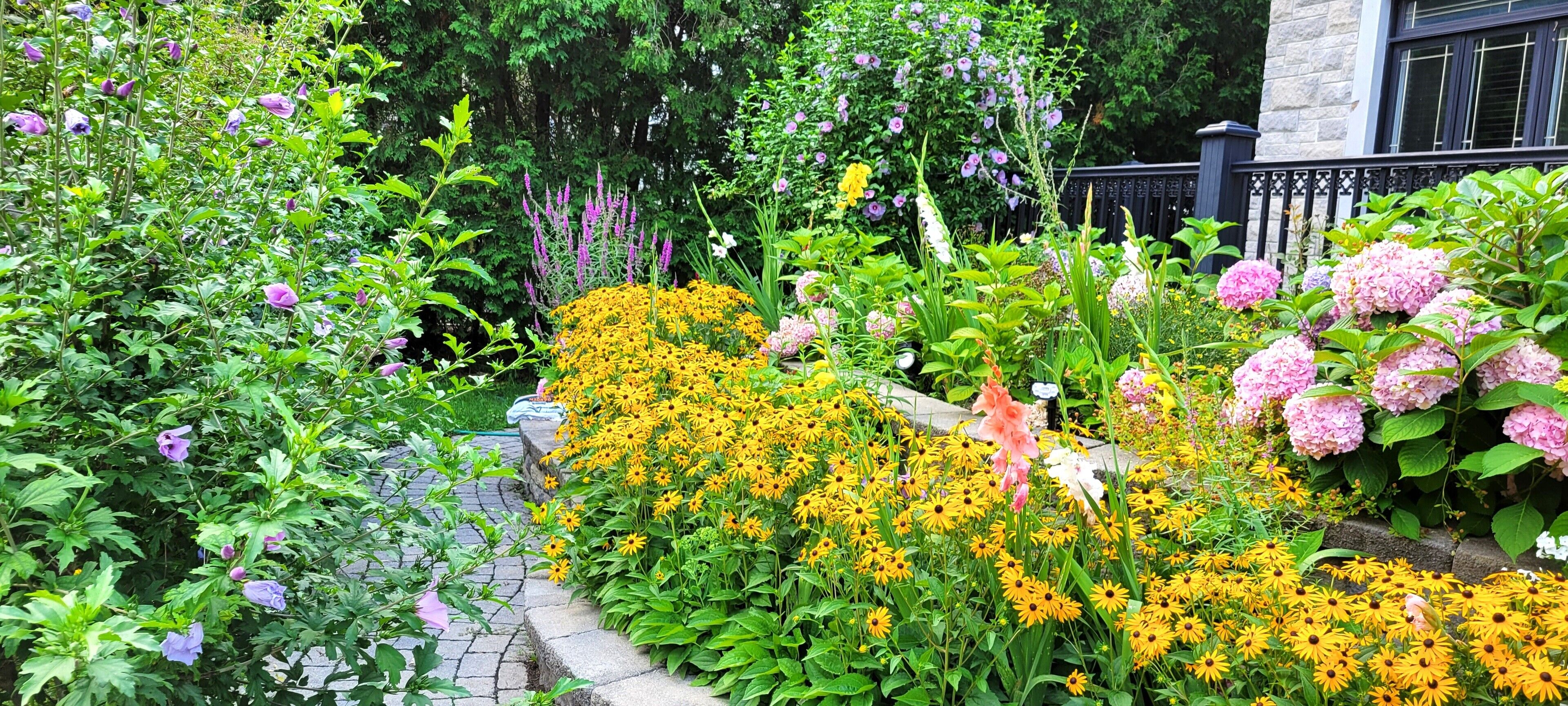 Un jardín con diversas flores y plantas, un sendero de piedra y un edificio con valla negra al fondo.
