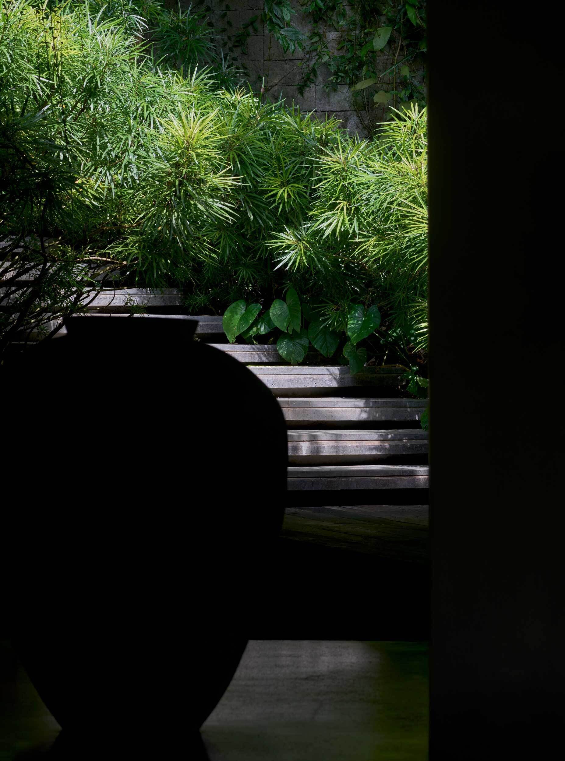 A garden area with a stone bench and lush green plants.