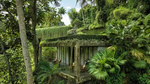 A treehouse with a small porch and seating area, surrounded by lush greenery. - Peaceful river and jungle views, 6 bedrooms, close to beaches. (Tabanan)