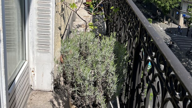 Un balcon doté d’une balustrade en fer forgé donnant sur une rue de la ville.