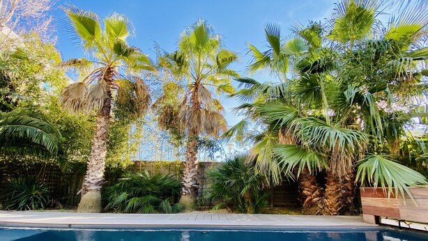 A swimming pool surrounded by palm trees and lush greenery. - 180 M2 architect-designed villa near Montpellier and beaches (Lattes)