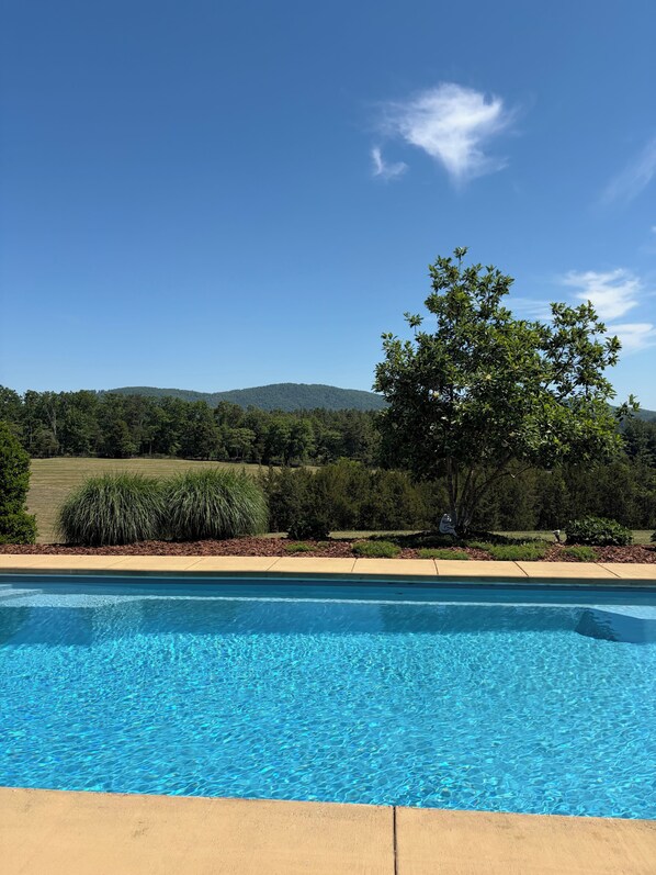 A swimming pool with clear blue water, surrounded by a landscaped garden with various plants and a tree.