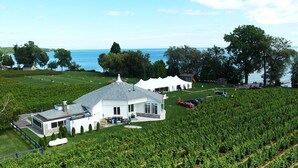 A vineyard with rows of grapevines, a white house with a grey roof, and a view of the sea in the background. - Jackson's Falls Country Inn (Prince Edward)