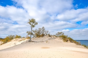 Site dâintĂ©rĂȘt