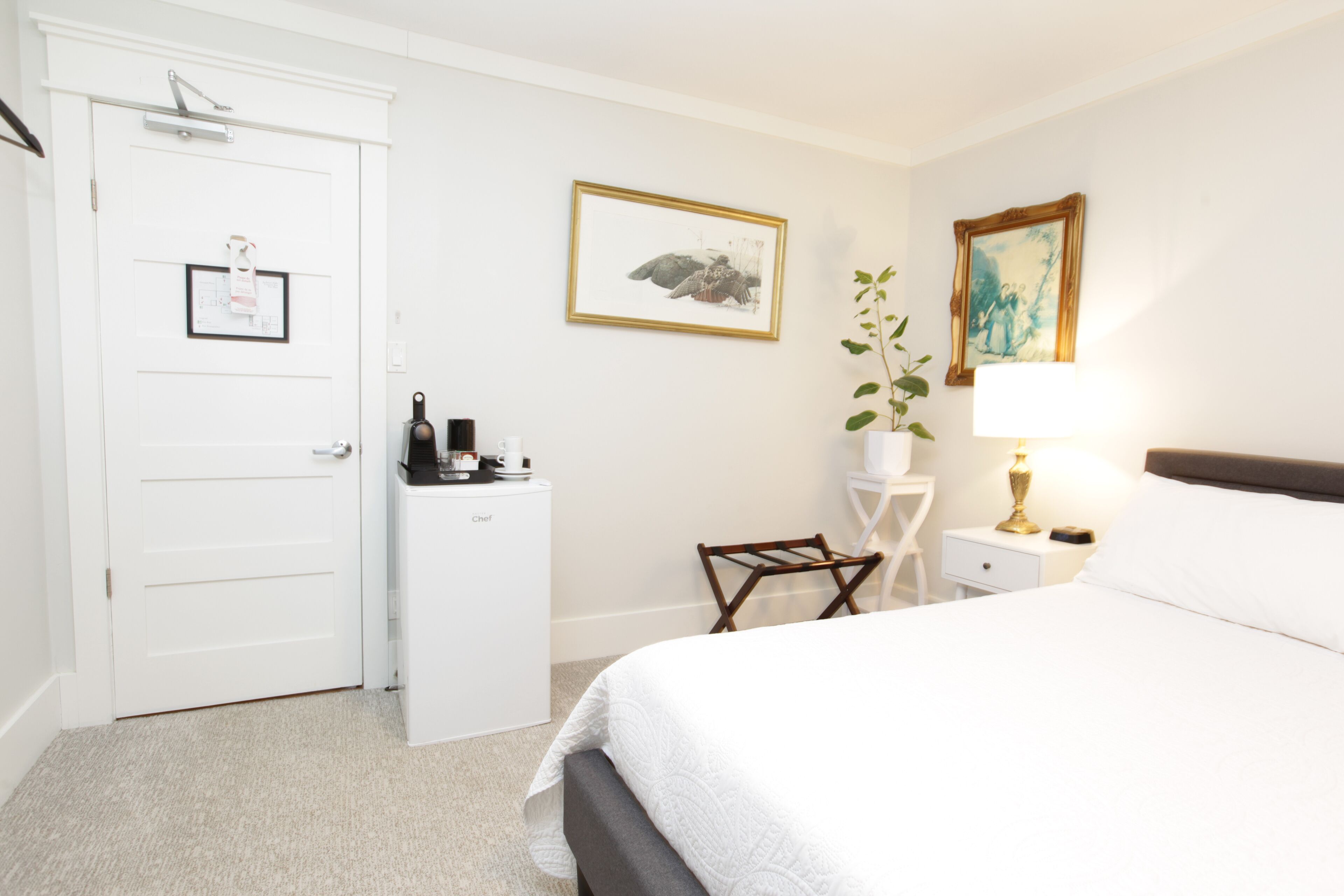 A hotel room with a bed, a desk, a chair, a lamp, and a plant.