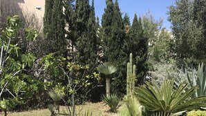 A garden with various plants, including palm trees and cacti, and a building in the background. - Maisonnette33m2 plage à 250m (Six-Fours-les-Plages)
