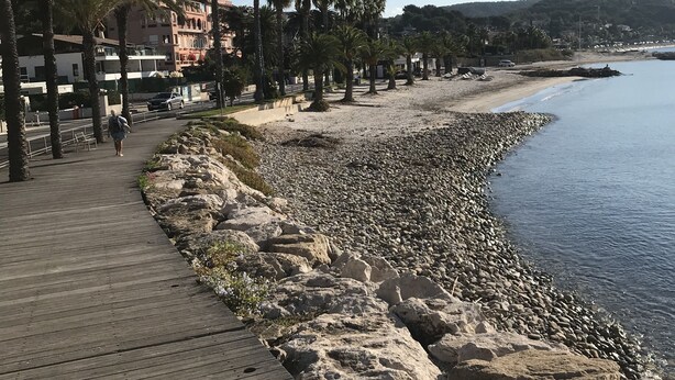 A coastal walkway with a wooden deck, palm trees, and a rocky shoreline. - Maisonnette33m2 plage à 250m (Six-Fours-les-Plages)