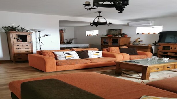 Un salon avec des canapés orange, une table basse et un téléviseur. On y trouve un meuble en bois et une plante sur la gauche.