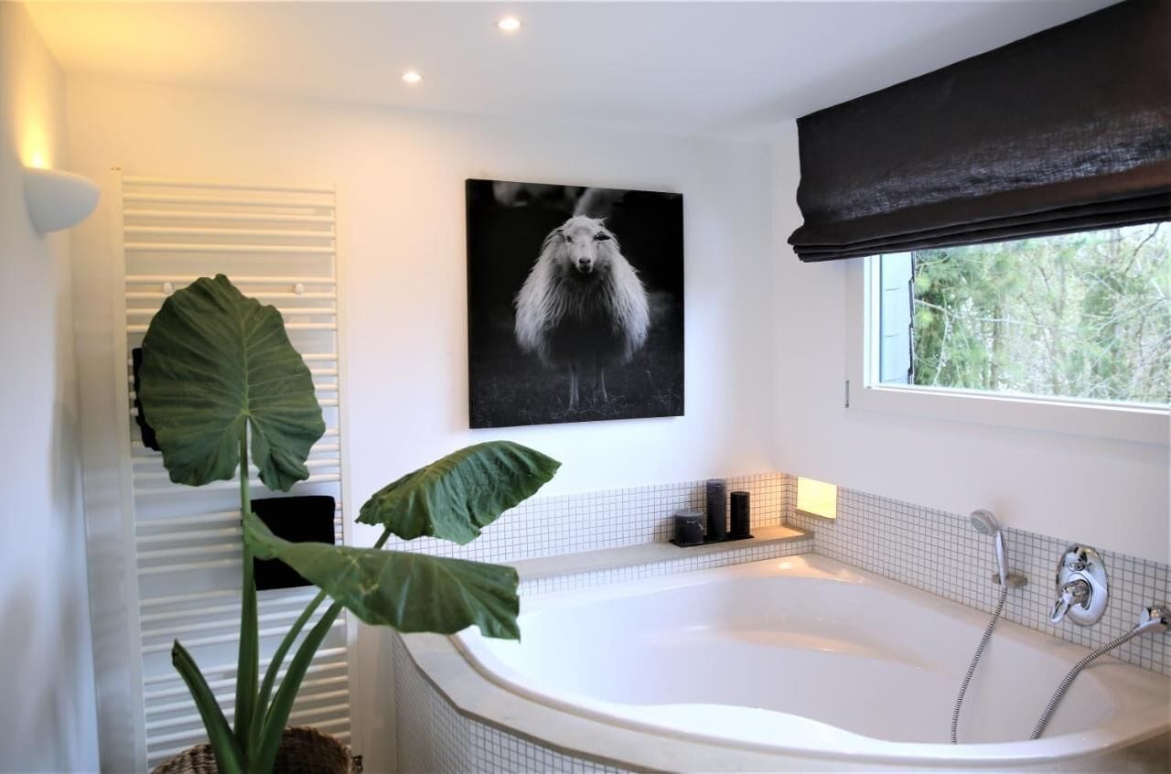 Shower, hair dryer, towels, toilet paper