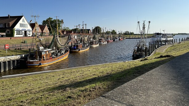 Un puerto con varios barcos pesqueros amarrados a lo largo de la costa, un edificio con un letrero que dice "Greetstjerk", y una zona verde junto al agua.