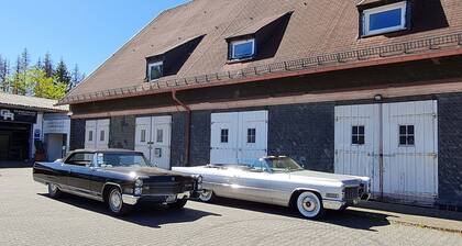 Vacation apartment Ollywood HILL with balcony, nature vacation in the high Westerwald