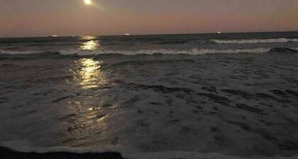 211 Turtle | King Bed | Beach Gear | 1 Block to Beach & Downtown | Dog Friendly