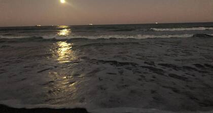217 Dolphin | King Bed | BEACH | Walkable | Dog Friendly!