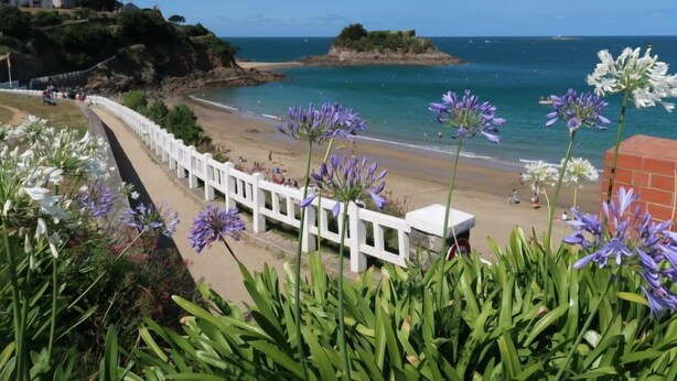 Une vue sur la côte, avec une clôture blanche, une plage et des affleurements rocheux.