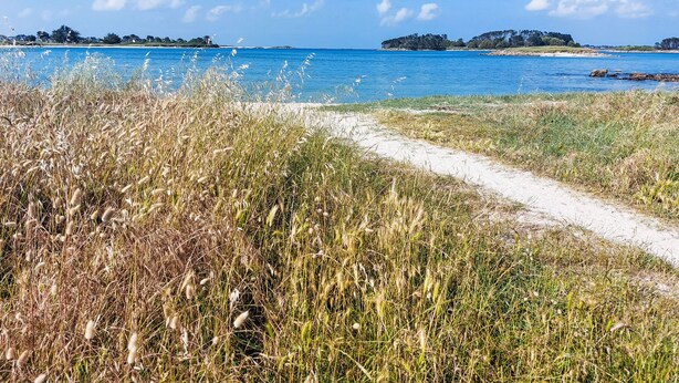 A coastal path leading to a beach with clear blue water and distant islands. - Ker Vignan by Interhome (Ile Grande)