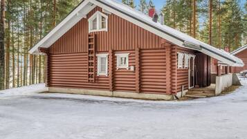 Eksteriør