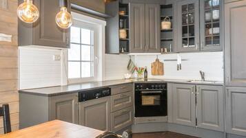 Fridge, microwave, dishwasher, cookware/dishes/utensils