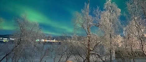 المنطقة المحيطة بالمنشأة