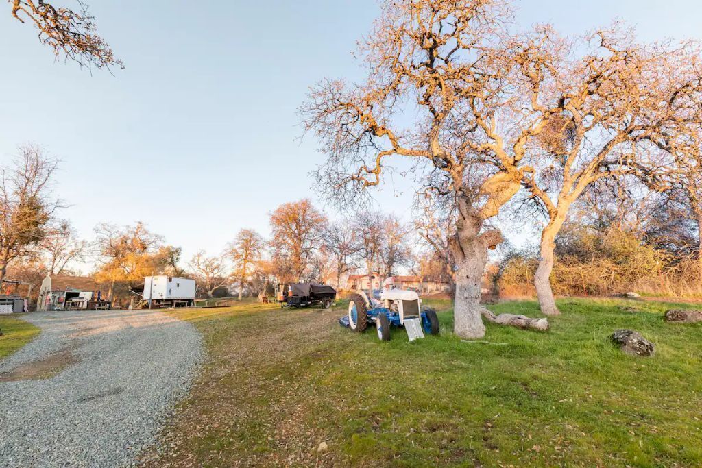 A rural campsite with a gravel path, a large tree, and a blue tractor.