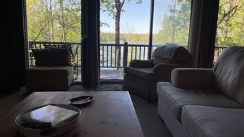 TV connectée, cheminée, livres