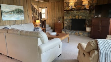 TV connectée, cheminée, livres