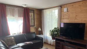 A living room with a black leather sofa, a flat-screen TV on a wooden stand, a small table, a red and white patterned rug, and a potted plant. - Northern Flare cabin with mountain view 5 min from Nordic Eclipse (Whitehorse)