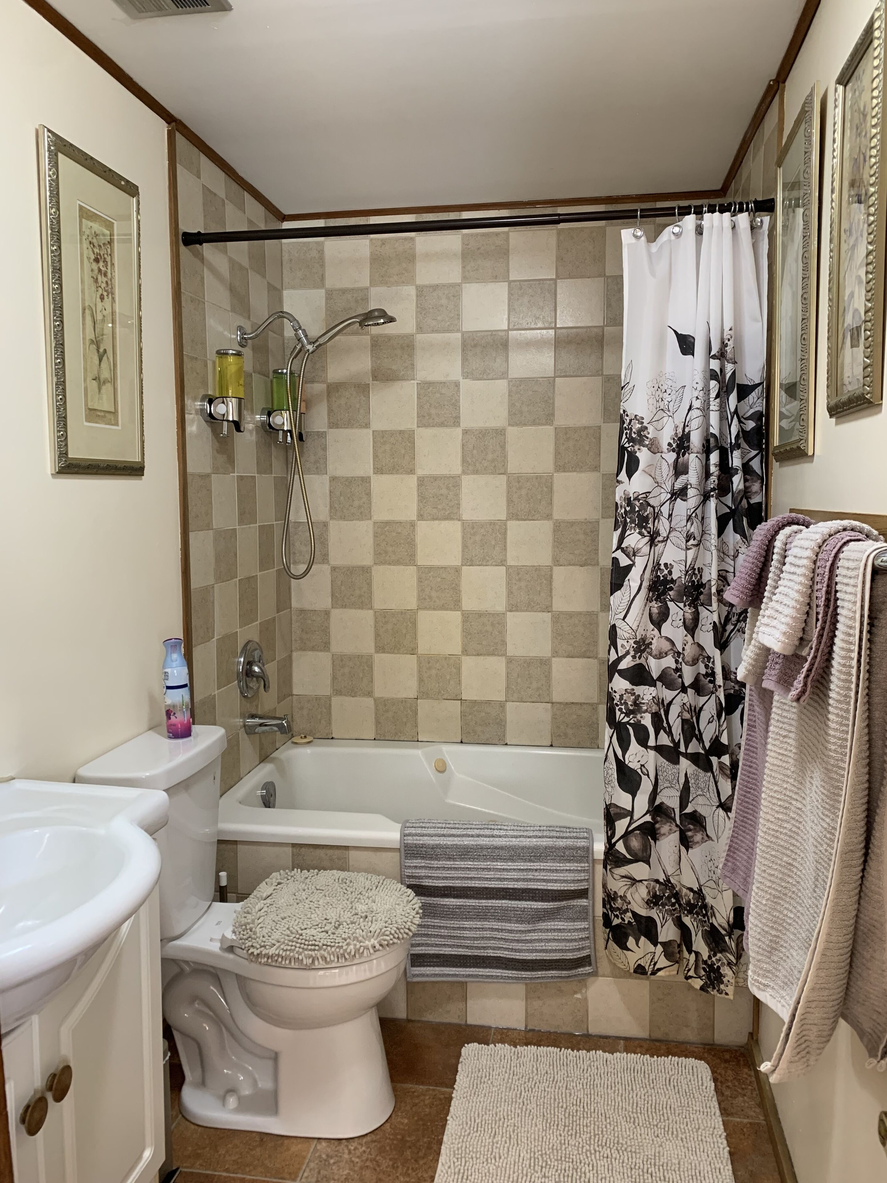 Hårføner, håndklær, såpe og sjampo