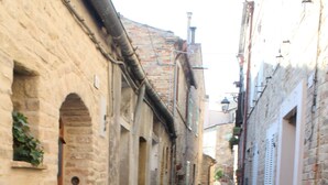 A narrow cobblestone alley with stone buildings on either side, some with plants growing in window boxes.