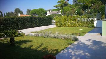 Área da propriedade