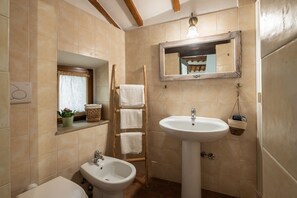 Shower, hair dryer, bidet, towels