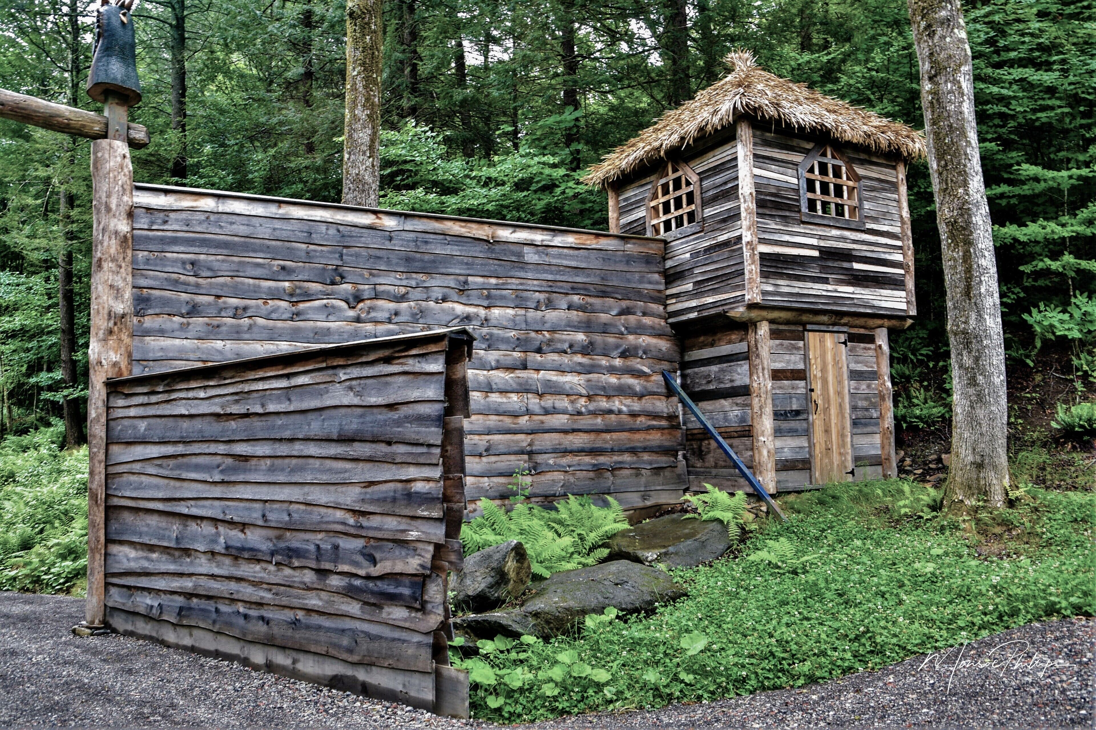 A rustic wooden cabin with a thatched roof, surrounded by dense forest.