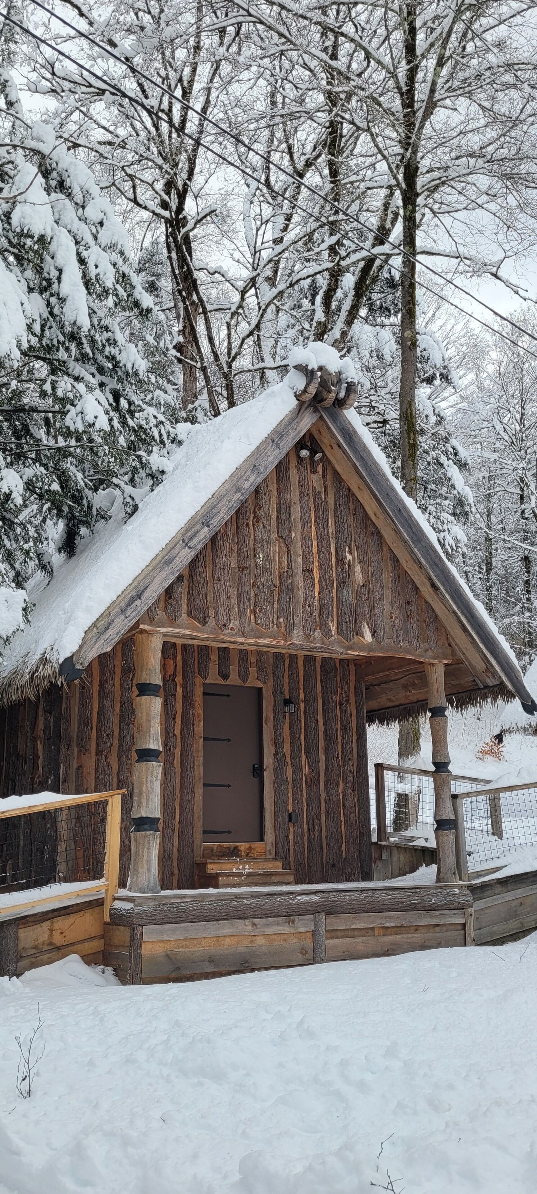 A rustic wooden cabin with a thatched roof, surrounded by snow-covered trees.