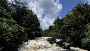 Um rio com águas revoltas correndo por uma área arborizada.
