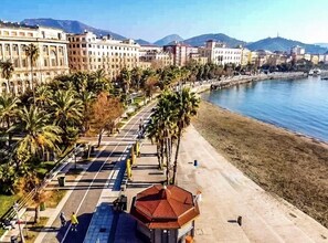 Un paseo marítimo con palmeras, una playa y edificios al fondo.