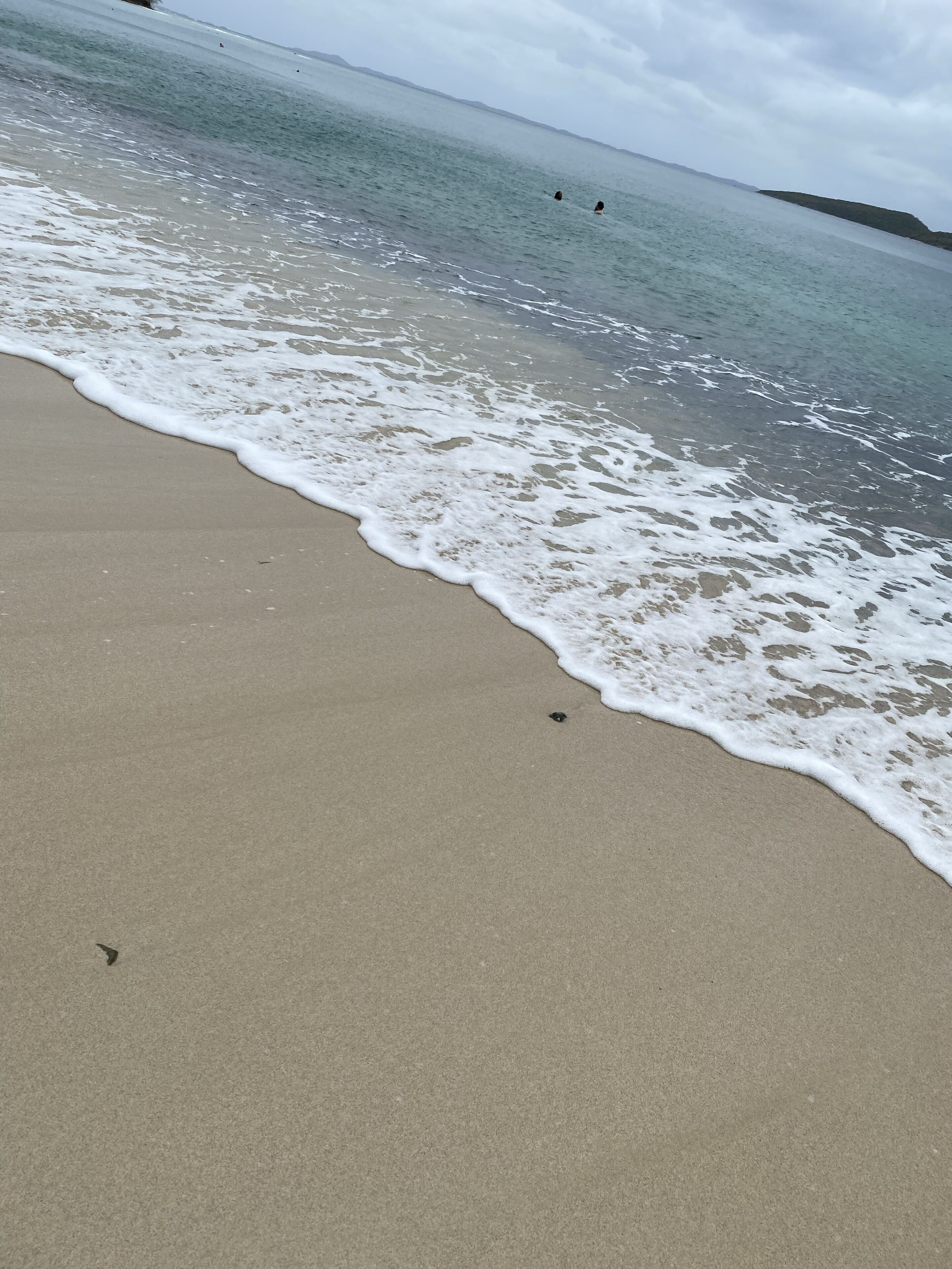 Une plage où les vagues viennent doucement lécher le rivage.