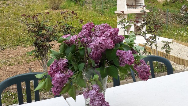 A table with a vase of purple flowers, a stone building, and a rustic outdoor setting.
