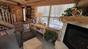 Smart TV, fireplace, DVD player, video library