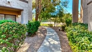 A pathway leading to a building with a covered outdoor area, surrounded by greenery and trees. - The Cactus Flower at McCormick Ranch (Scottsdale)