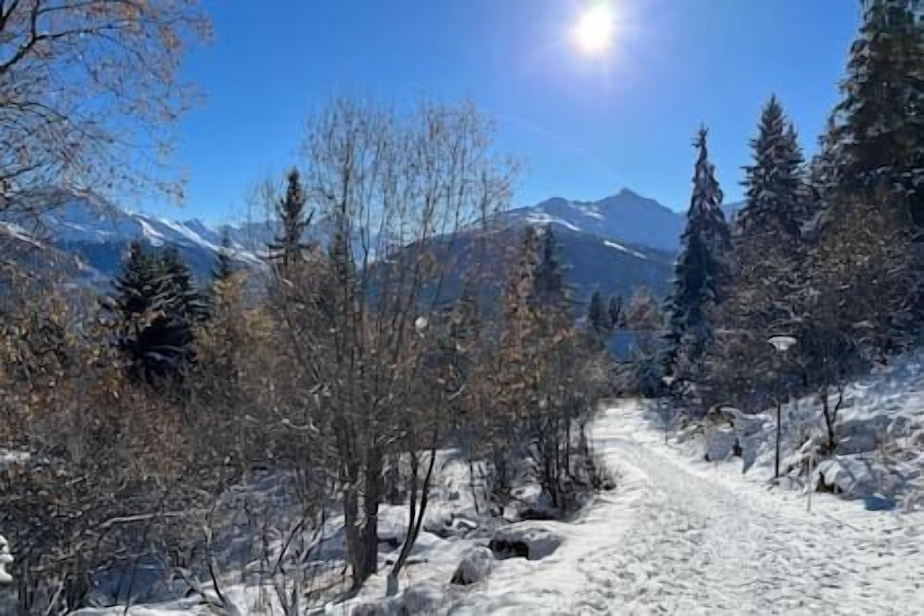 滑雪运动