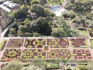 Exterior - Sea and Sun 4 You - Villa Oliveira D/4 (Funchal)