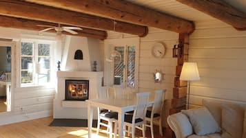 Smart-TV, Kamin