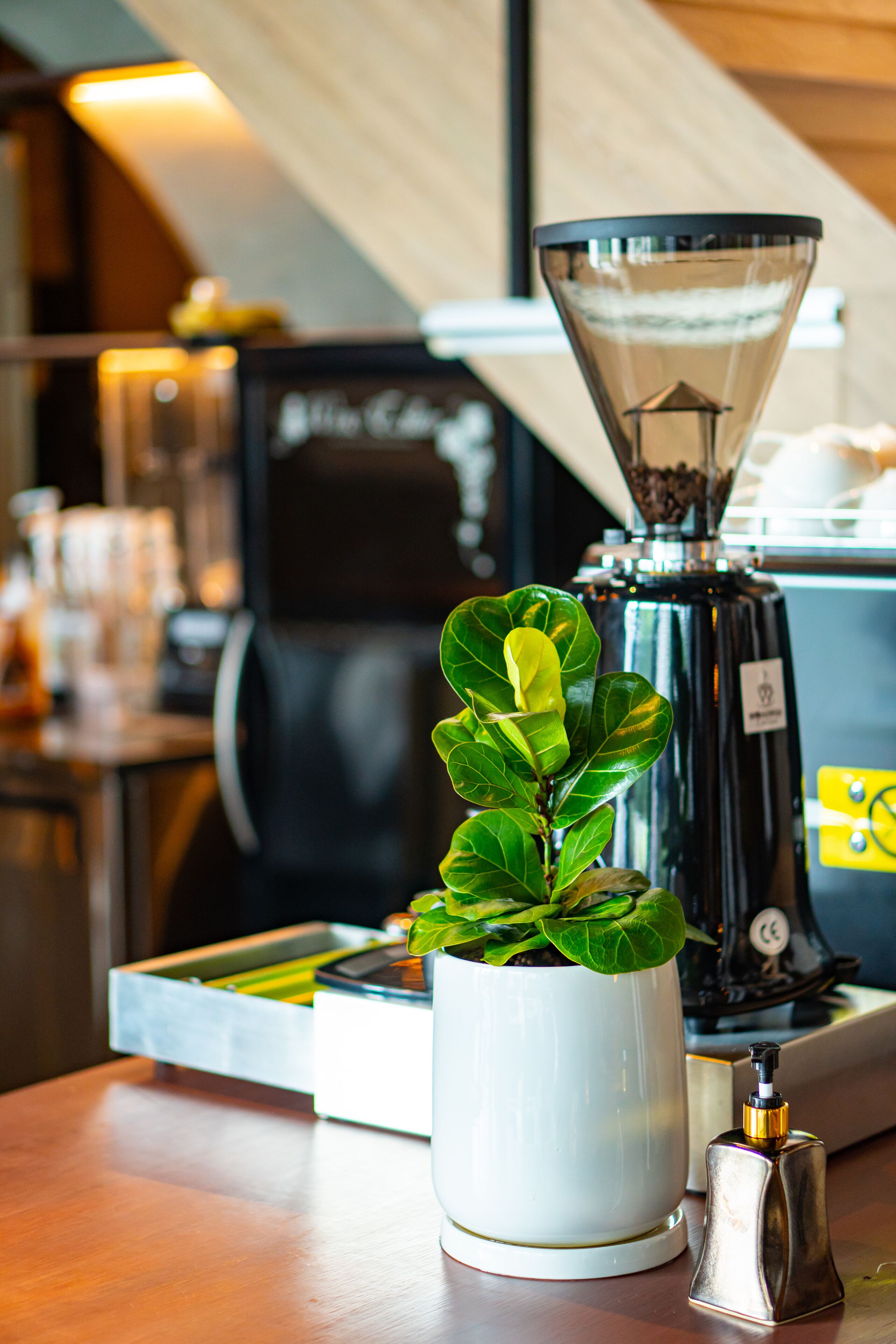 Foto - J Place Hotel