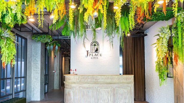 Zona de recepción con pared de ladrillo blanco, mostrador de madera y plantas colgantes.