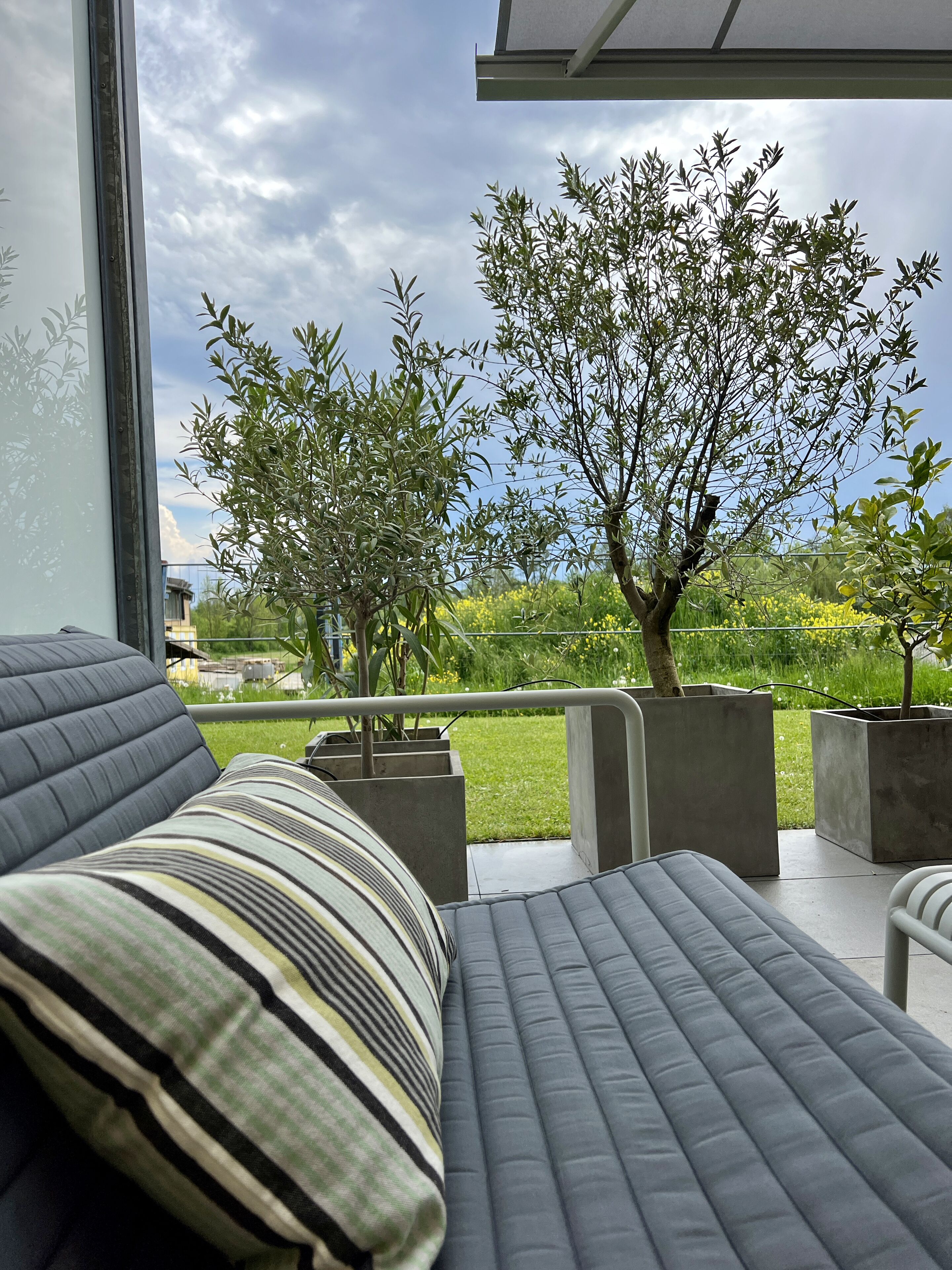 A modern outdoor seating area with a view of a garden and a tree.