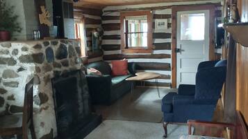 Smart TV, fireplace, books