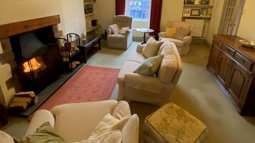 Télévision, cheminée, livres