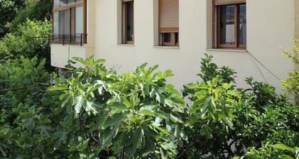 Gjirokastra Apartment