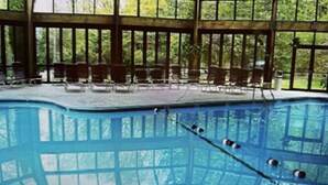 An indoor swimming pool with a glass ceiling, surrounded by lounge chairs and a view of greenery. - Modern and Brand New, Pool, Camelback Ski Area, 2 showers (Tannersville)